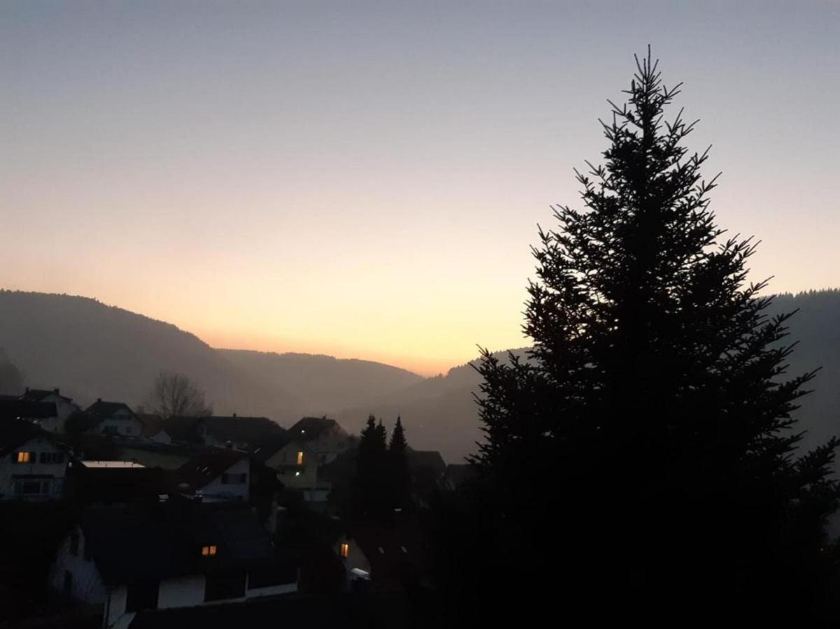 Ferienwohnung Kussmaul Alpirsbach Esterno foto